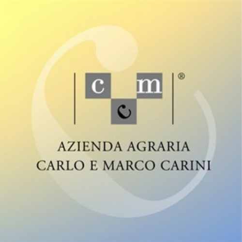 Logo_Carino