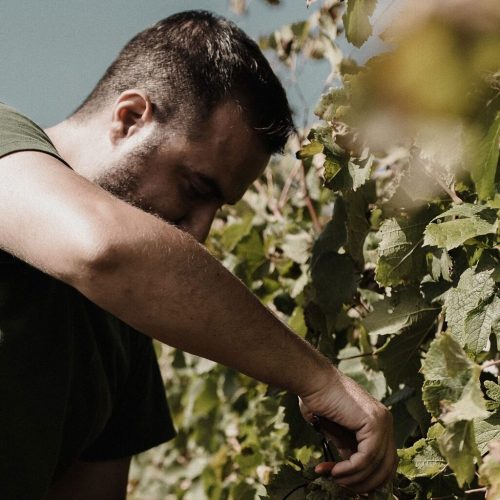 Casali del Toppello ospite de L’Orto in Tavola