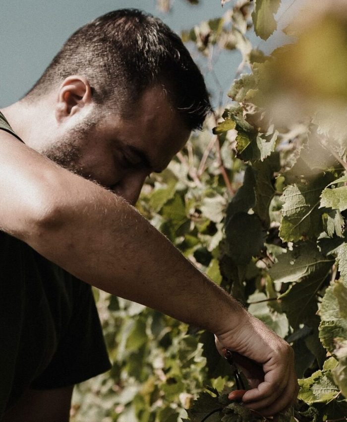 Casali del Toppello ospite de L’Orto in Tavola